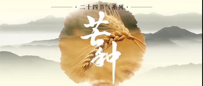 今日芒種|穹宇壯闊，煙火正濃