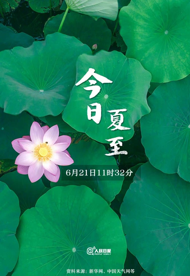 今日夏至 | 萬物向陽而立