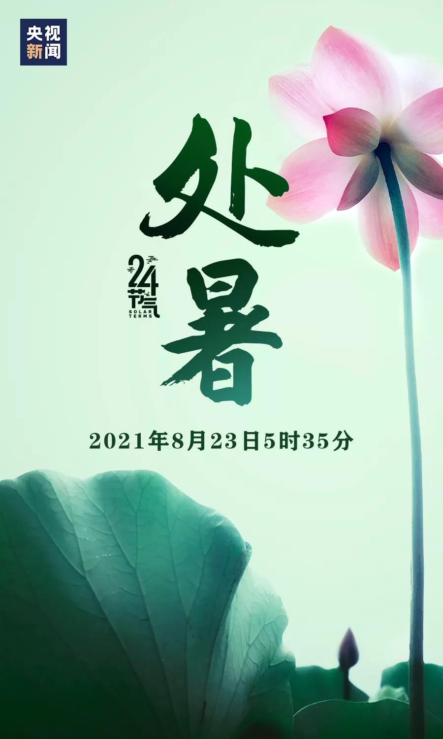 今日處暑 | 清風徐來，秋將至